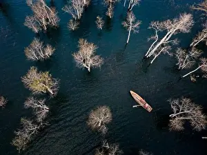 A boat travels on a deserted lake among the dry trees in the morning on a winter day