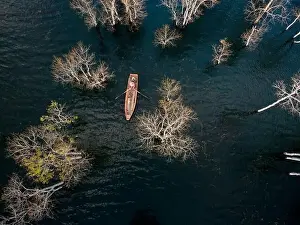 Dry Trees Prints: A boat travels on a deserted lake among the dry trees in the morning on a winter day