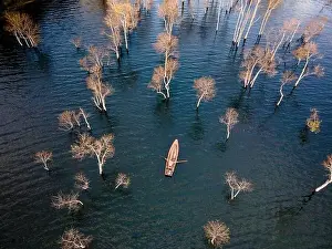 Dry Trees Prints: A boat travels on a deserted lake among the dry trees in the morning on a winter day