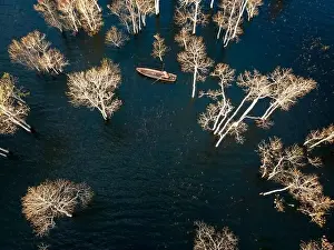 A boat travels on a deserted lake among the dry trees in the morning on a winter day