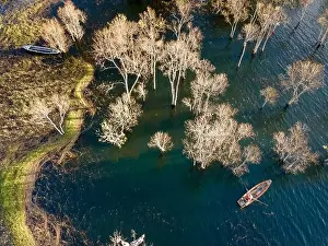 A boat travels on a deserted lake among the dry trees in the morning on a winter day