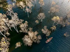 A boat travels on a deserted lake among the dry trees in the morning on a winter day
