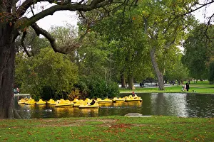 Paddle Prints: Boating lack Regents Park London
