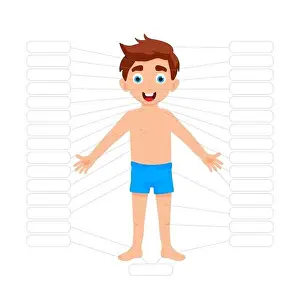 Knee Prints: My body poster. Cute kid boy shows his body parts medical anatomy chart