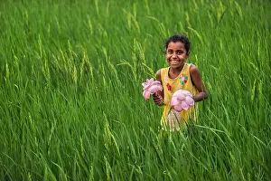 Paddy Prints: Bogura, Bangladesh - 29 March 2022: View of a girl amidst a sea of verdant rice paddies