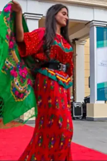 Bohemian Gypsy Life at Sibiu Internațional Poetry Roma Festival