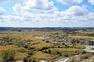 Rolling Hills Prints: Boicourt Trail