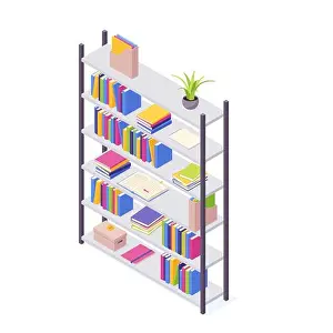 Bookshelf Prints: Books on shelf in isometric vector illustration