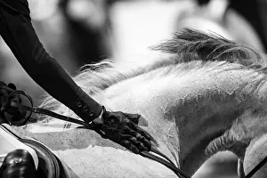 Equestrian Sport Prints: Bordeaux, France - February 2, 2024