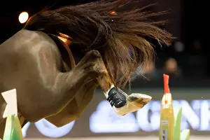 Equestrian Sport Prints: Bordeaux, France - February 2, 2024