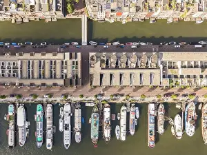 Top Down Prints: Borneo island, Amsterdam