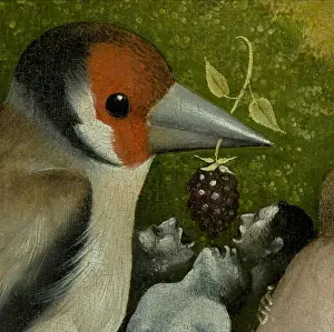 Earthly Delights Prints: Bosch, Hieronymus The Garden of Earthly Delights
