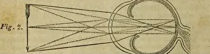 Bookyea Prints: The Boston medical and surgical journal