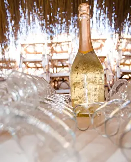 Festivity Prints: Bottle of iced champagne with flute, served under a straw roof