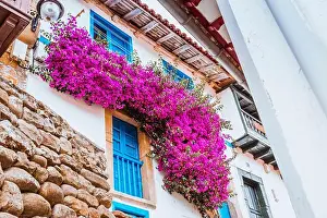 Fishing Village Prints: Bougainvilleas hanging from a balcony. Tazones, Principality of Asturias, Spain, Europe