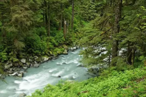 Rapids Prints: Boulder River running through forested canyon