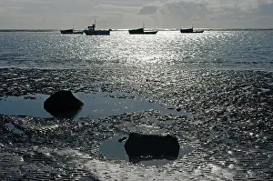 Haven Prints: Boulmer, boats at low tide