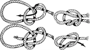Vector Vectors Prints: Bowline Knot in which 4 easy steps to tying a bowline