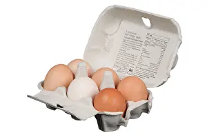 Opened Prints: Box of Eggs Open on a White Background