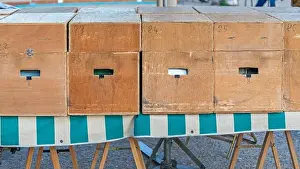 Vinyl Prints: Boxes of Vinyl Records at Street Market in Cannes France