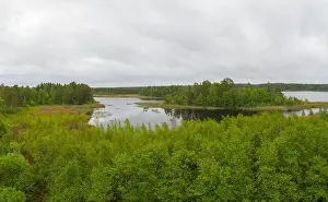 High North Prints: Boxholm in Sweden, panorama of a forested region and Arrebo lake