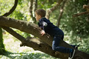 Innocence Prints: Boy climbing a tree