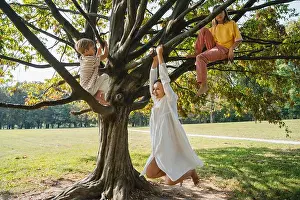 Siblings Prints: Boy and girl with mother hanging on branch of tree at park