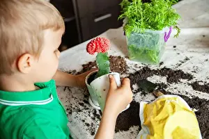 Fertile Prints: Boy watering cactus on table at home