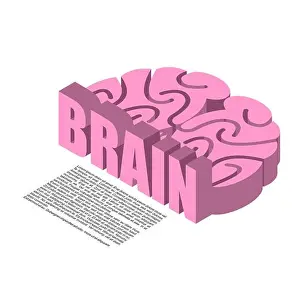 Hypothalamus Prints: Brain structure of infographics. Brains headache human cortex