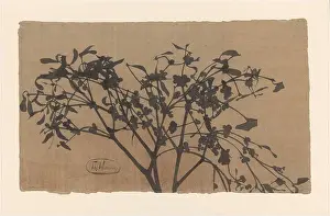 Floral Design Prints: Branch with Blossem, Theo Nieuwenhuis, 1876 - 1951 drawing paper brush flowers