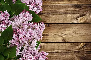 Branches of lilac flowers on wooden background