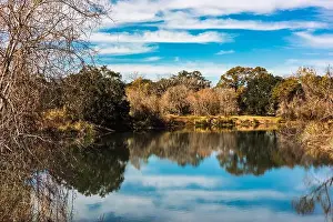 Texan Prints: Brazos Bend State Park, Texas, in a beautiful sunny morning