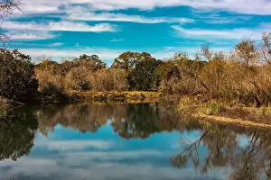 Texan Prints: Brazos Bend State Park, Texas, in a beautiful sunny morning