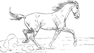 Flexibility Prints: Breaking and riding, with military commentaries