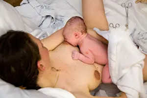 Ward Prints: Breastfeeding / breast feeding mother / mum / parent / woman with her new born / newborn baby after childbirth / giving