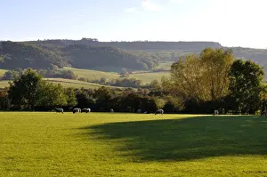 Leafy Prints: Bredon Hill from Little Comberton, Worcestershire, England, UK