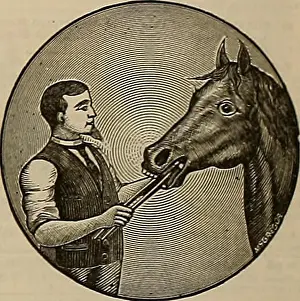 Bookyear1882 Prints: Breeder and sportsman. Horses. LOSSIDINI 055IDINE ALL Ref-ulte obtained at the well-known Kalamazoo Farm