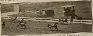 Bookdecade1880 Prints: Breeder and sportsman. Horses. Saturday