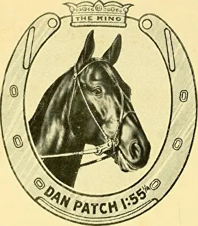 Booksubjecthorses Prints: Breeding and developing the trotter