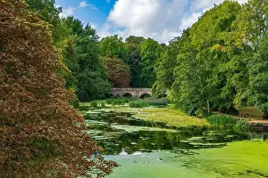 Stone Bridge Prints: Bridge over the river Stour at Blandford Forum, Dorset, England, Uk