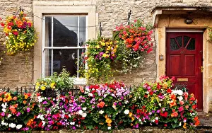 Multi Prints: A bright, colourful display of summer bedding flowers outside a an old Cotswold stone house in Sherston