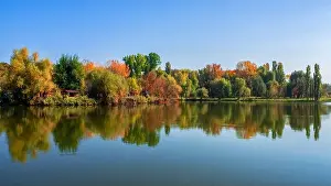Tree Leaf Prints: Bright summer landscapes with reflection of trees in the lake in