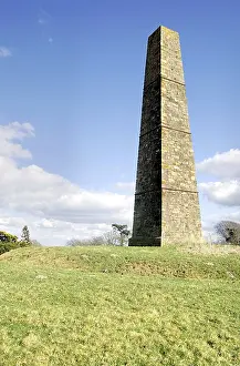 Philanthropist Prints: Brightling Needle