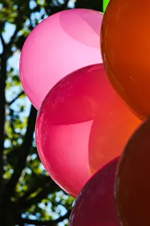 Balloons Prints: Brightly coloured balloons
