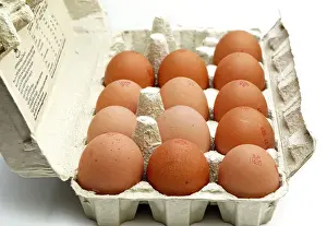 White Box Prints: British eggs in egg box england uk