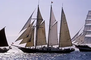 Schooner Prints: British topsail schooner Sir Winston Churchill, Plymouth race start, 1994