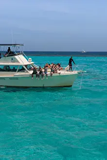 Swimsuit Prints: British West Indies, Cayman Islands, Grand Cayman, Stingray City