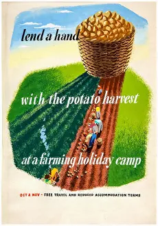 World War 2 Prints: British, WW2, food production poster