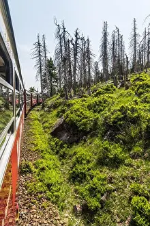 Steam Locomotive Prints: The Brockenbahn narrow-gauge railway in the German Harz mountains on its way down from the Brocken mountain