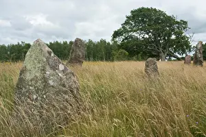 Bronze Age Prints: bronze age grave field in Sweden *** Local Caption *** sweden